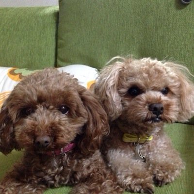 2児の父(おっさん)で、日々仕事に追われる会社員。広く浅くだが、遊びなら、なんでも首突っ込み、天気の良い休みの日は、プカプカ船上で寝て余暇を過ごしていたが、3.11津波で塩釜に係留していた船が何処かにいってしまい、未だ見つからず…悩める55歳…(･･;) 久々ゴルフにハマり始め中。無言フォロー、DM未返信失礼します。