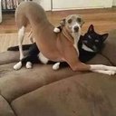 Jose Okeefe - @joseokeefe123 - Twitter