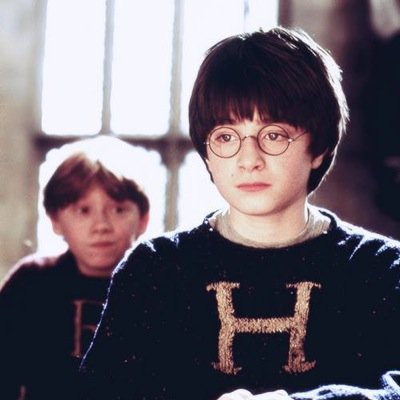 muggles are not allowed on my rocketship to pigfarts