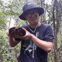 Cheng Chen (@chen_cheng_) 's Twitter Profile Photo Cheng Chen (@chen_cheng_) 's Twitter Profile Photo