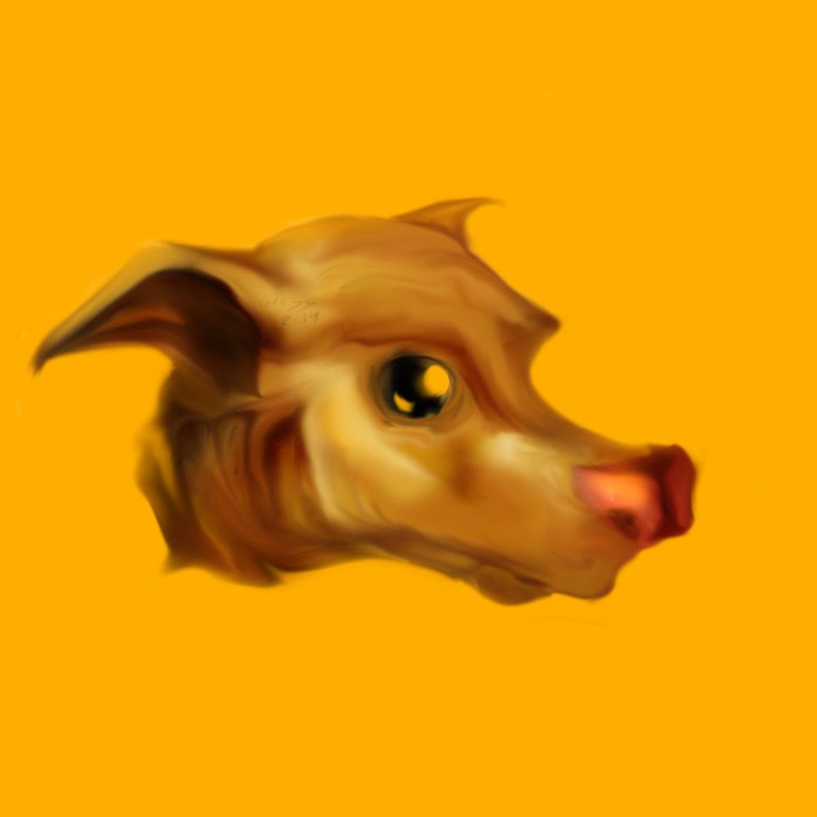 senior_grass Profile Picture