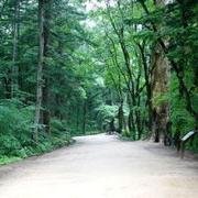 magiccastle12's profile picture. 