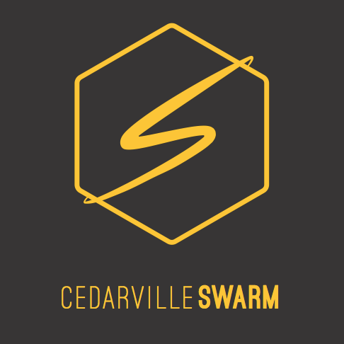 Cedarville University's Open College Ultimate Team. 1 Peter 4:10