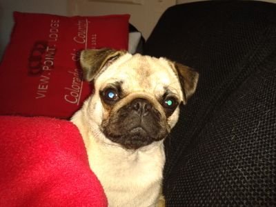 danikiproper's profile picture. Hoi