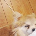 颯 (@011620Hayato) Twitter