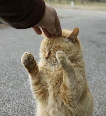 freeswim_'s profile picture. よろしく～(´∇｀)