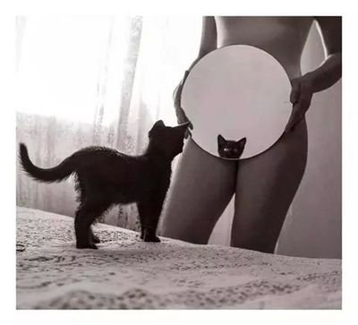 ...O tom cu misliti sutra...