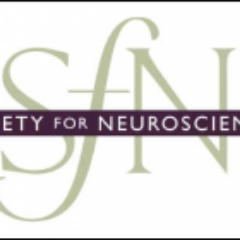 The Society for Neuroscience (Sydney Chapter) is dedicated to the promotion of Neuroscience through training of research Students and Community Outreach.