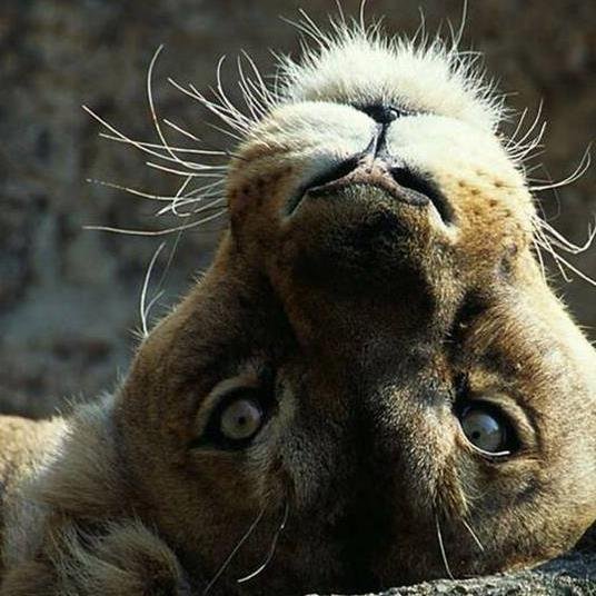 Sites82's profile picture. 