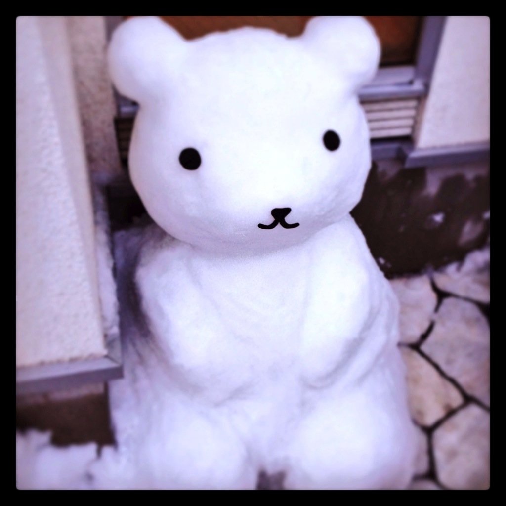 ポメチワ花音さんに 癒されまくりな日々です🐶🍓 スッキリした生活を目指して試行錯誤中。お仕事は訪問介護士、ガイドヘルパーなど。 日々是好日🍀 フォローお気軽に♪(-ω-) #ポメチワ