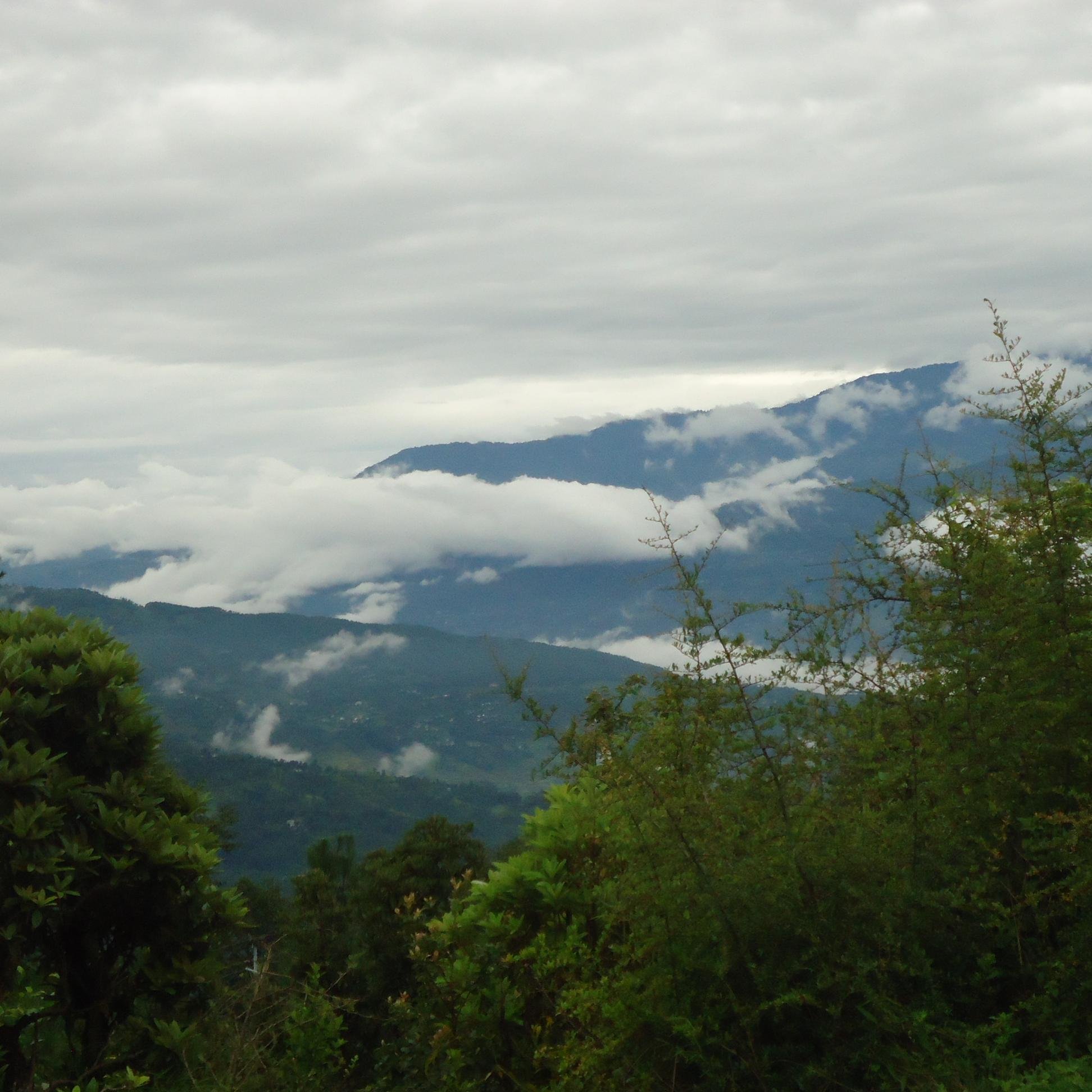 AsiaHimalayan's profile picture. Travel Paretner