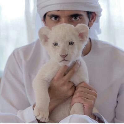 سبحان الله والحمدلله ولا إله إلا الله والله أكبى