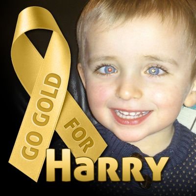 LisaStephenson3's profile picture. Harry is fighting a rare childhood cancer called Retinoblastoma. He has amazing eyes and is fighting to keep them. Please help gather good luck for him.
