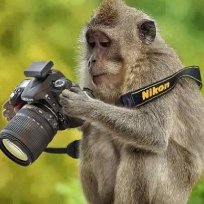 Fun group on flickr for photographers. Monthly and weekly themed competitions. Best photo wins a prize. Judged by an independent adjudicator. Join now on flickr