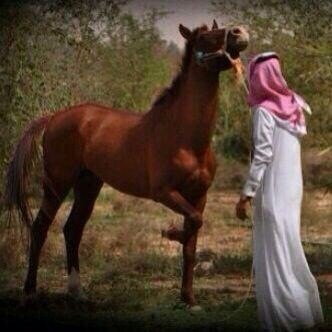 شاعر ومحب للشعر وهوايتي  الفروسيه. والقراءه والسفر.      بلاد العز والكرامه السعوديه دار ابو متعب. القصيم