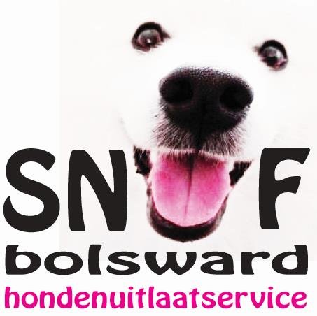 Snufbolsward's profile picture. 