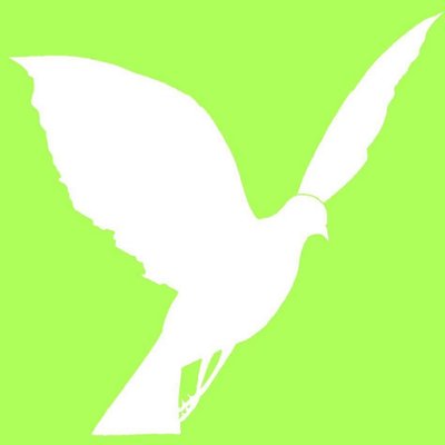 kankisis's profile image