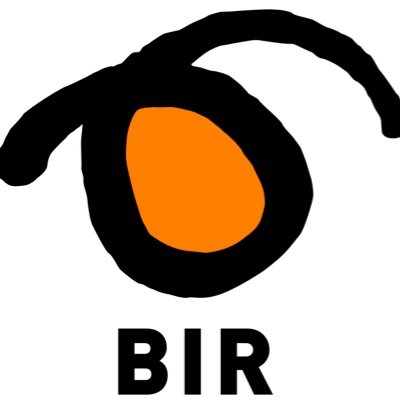 BIRrenovasjon Profile Picture