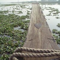 Gavin Allwright (@gavin_allwright) 's Twitter Profile