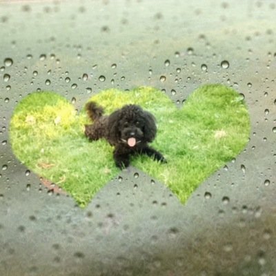 GlinkaNeda's profile picture. 