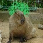 moryhey's profile picture. 絶賛すみ活中。ねこ3きょうだい（とらちゃん最推し）寄りの箱推し。なんものも好き。のりおにぎり。DQ10/ミセス/女王蜂/コスメなどなど