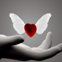 الزين (@om3bdullah2011) 's Twitter Profile
