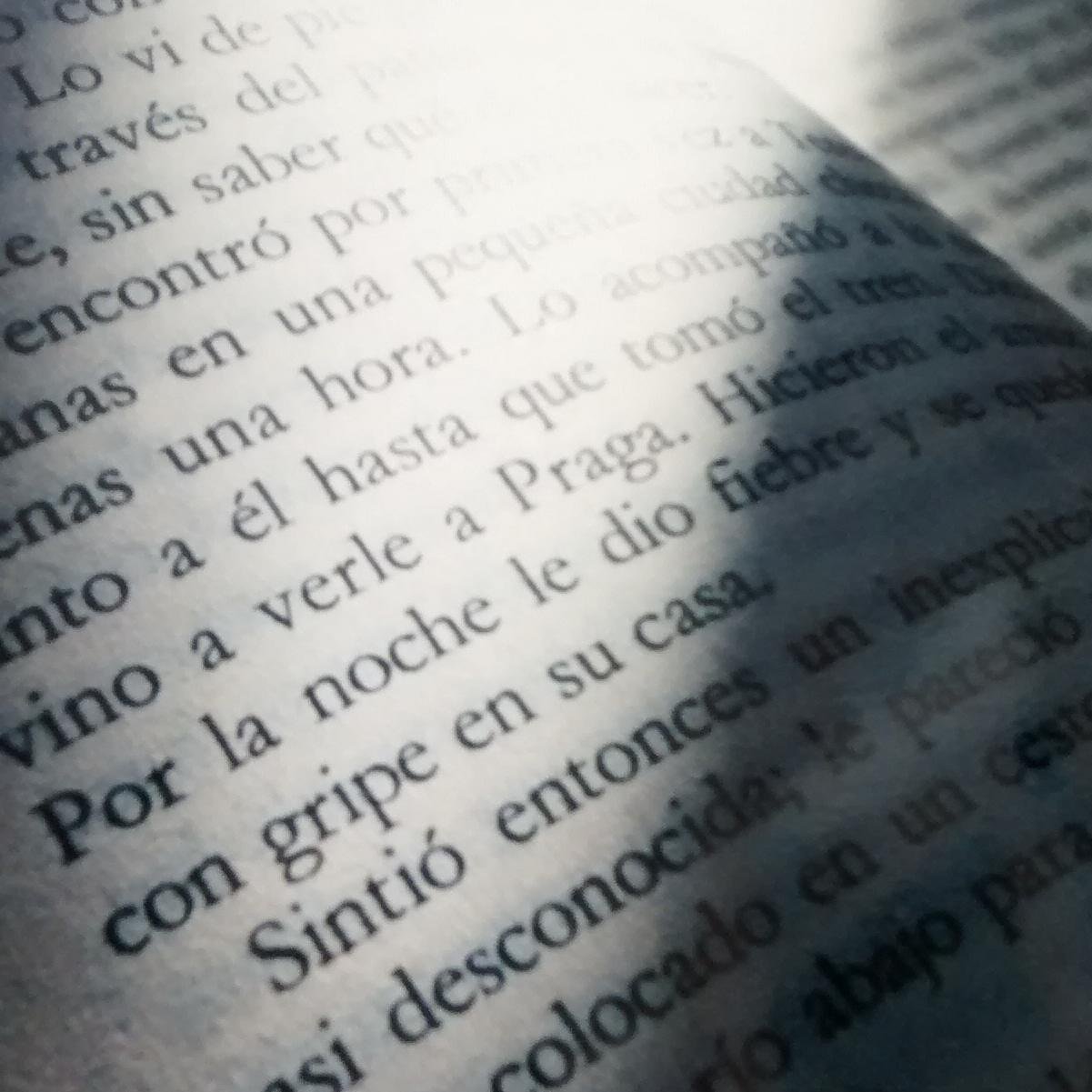Un blog de ratas de biblioteca para ratas de biblioteca, con críticas que nunca te desvelarán el final de los libros... pero te dejarán con ganas de más
