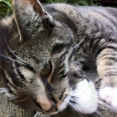 Cantankerousuk's profile picture. 