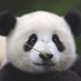Owen Chen (@chen_owen) Twitter profile photo