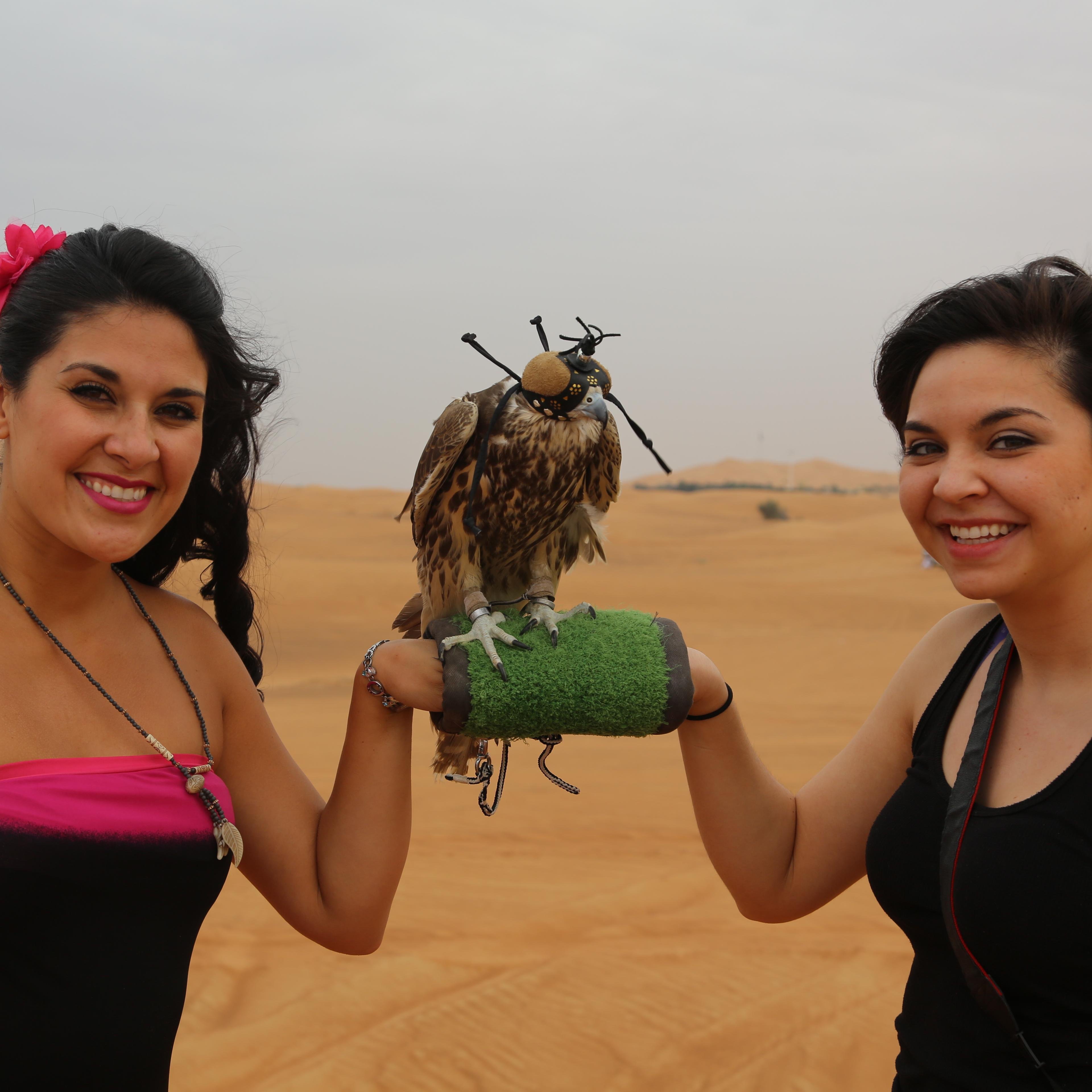 #Dubai Desert #Safari, Dubai #Tours offers you the most exclusive #desert safari in #dubai. Call Us or WhatsApp 00971502661837 https://t.co/klCbwtb7Ds…