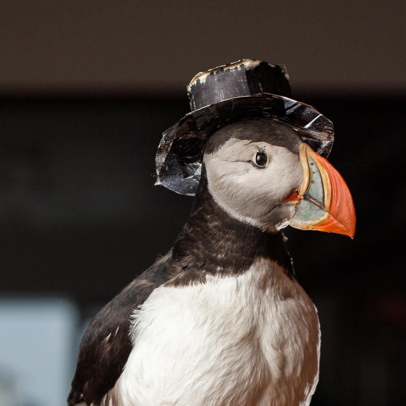 langaholt's profile picture. Family run guesthouse with warm atmosphere and delicious foods.
Open all year round.