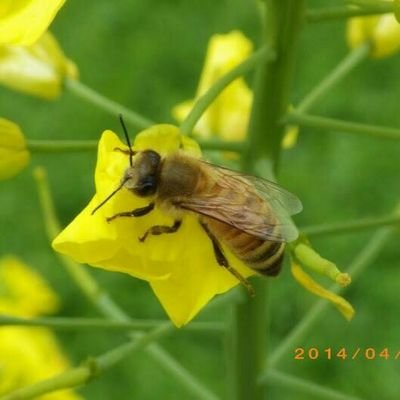 blad524's profile picture. 