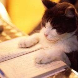 どんな世代にも愛されるような、素晴らしい雑学を紹介します！