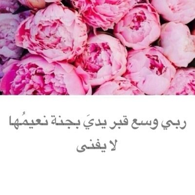 38Mooh's profile picture. اعيذك مئات المرات من ان يمسك عذاب القبر ي يدي ✨ || اللهم آنيٓ آسالك حسن الخاتمه