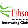 Fibso Logic Pvt. Ltd. is an information technology company, providing customized software and internet solutions. Fibso Logic Pvt. Ltd. is a team of dedicated