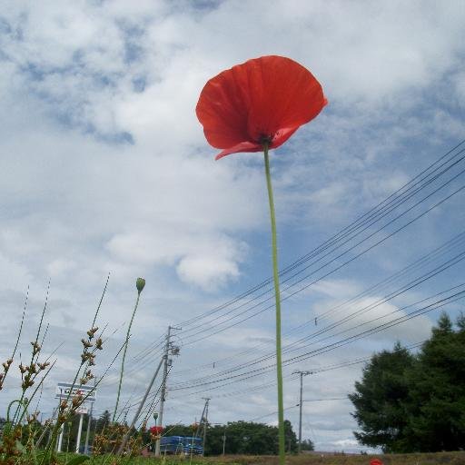 普段の生活の中で気がついたことや出来事を日記の様につぶやいてます、また生活に役に立つ色々なホームページの紹介もしていますので活用してください。