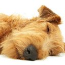 Bernard Purcell - @bernardp - Twitter