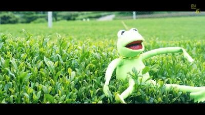 田西３年    めっちゃバグるわ～