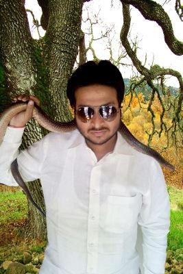 simple n smart guy
