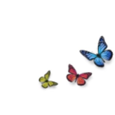 Downright Perfect Profile