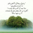 عبد الله بن حمد (@0505150316) Twitter