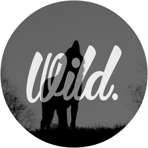 Stay WILD                                                                                                           For order : +62896-3035-1769 | PIN 74E271