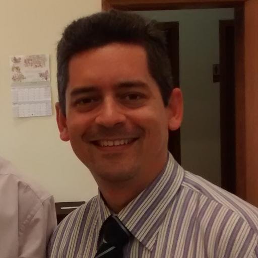 Analista de sistemas