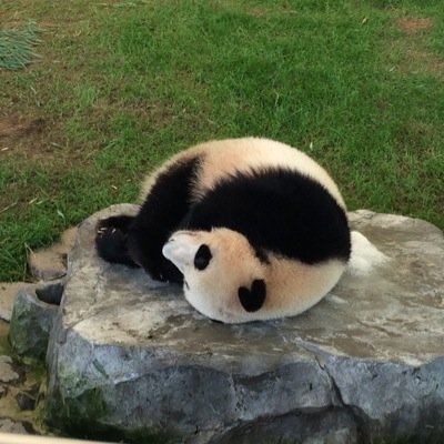 説明しよう！色々と拡散するアカウント、それが拡散くんである
