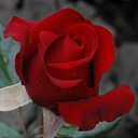 Mahesh Sharma (@02513e3653db480) Twitter