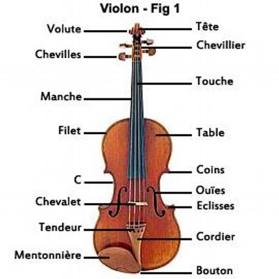 Violon Jerome Mrviolon Twitter