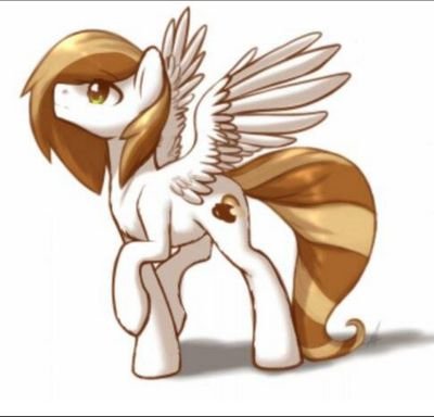 Heya I'm Coffee Cream I own my own Coffee Shop in Canterlot. I'm single and looking for a SSP  #bi
