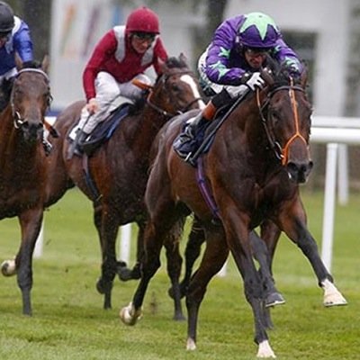 IvawoodHorse's profile picture. Ivawood - 3 year old