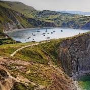 edupeixotopxt's profile picture. 