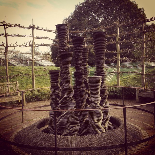 Kikidid's profile picture. 